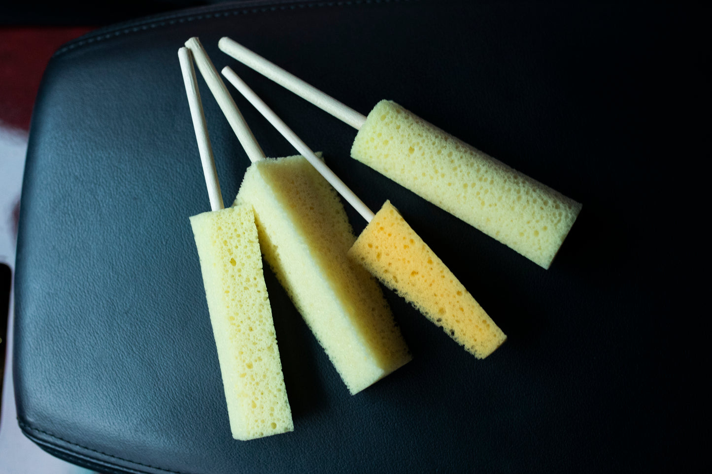 Sponge Guru - Precision Detailing Sponge Kit