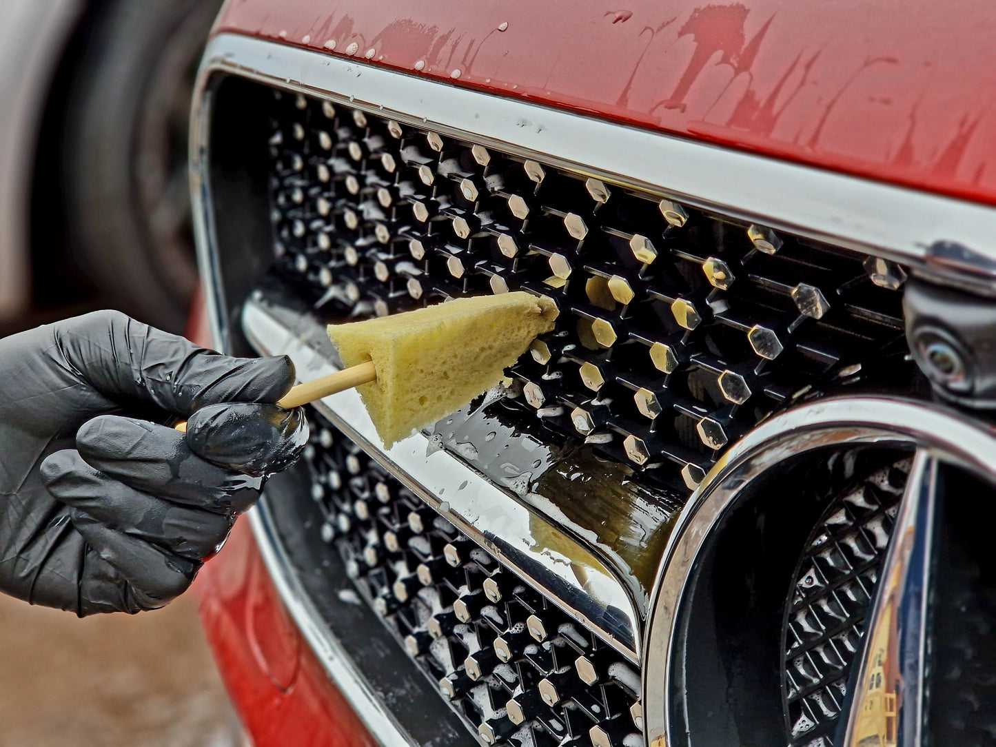 Sponge Guru - Precision Detailing Sponge Kit